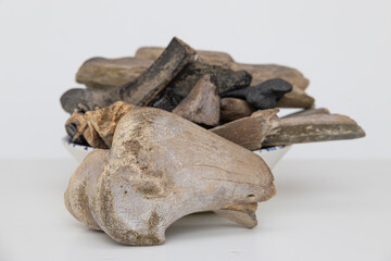 Prehistoric doggerland dutch fossils of teeth and bones of megafauna © andrewbalcombe
