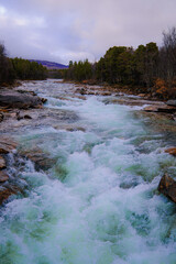 Powerful Mountain River Rapids Flowing Through Scandinavian Forest Landscape in Autumn