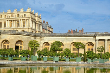 Obraz premium jardin de l'orangerie, chateau de Versailles, region Ile de France, 78, Yvelines, France