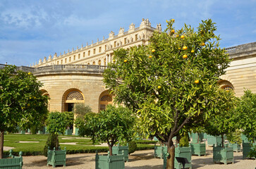 Obraz premium jardin de l'orangerie, chateau de Versailles, region Ile de France, 78, Yvelines, France
