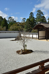 曼殊院門跡　宸殿前庭　盲亀浮木の庭(京都市左京区)