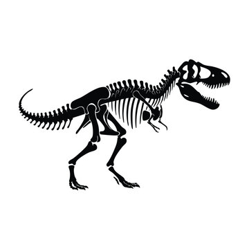 black silhouette of dinosaur skeleton