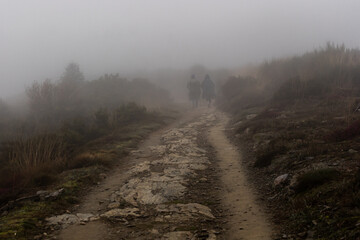 foggy way in the mountain with two piligrims