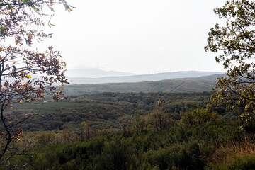 morning in the mountains, spain