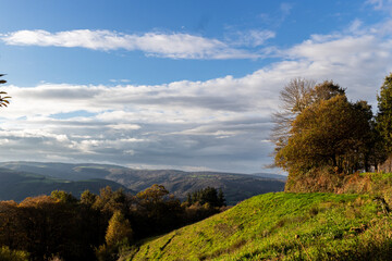 autumn landscape in the mountains with trees in northern spain, camino de santiago, spain 