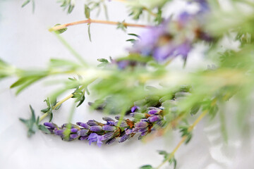 Thyme, rosemary and lavender