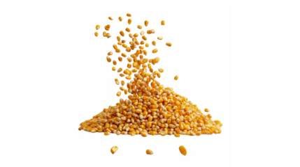 Yellow popcorn kernels falling and forming a vibrant golden heap on a dark background