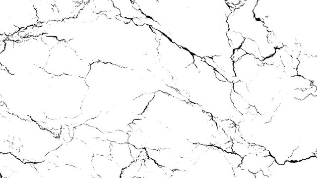 Cracked surface with black lines on white background