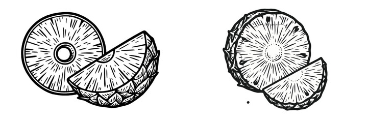 Naklejka premium Detailed vector illustration of pineapple slices and wedges