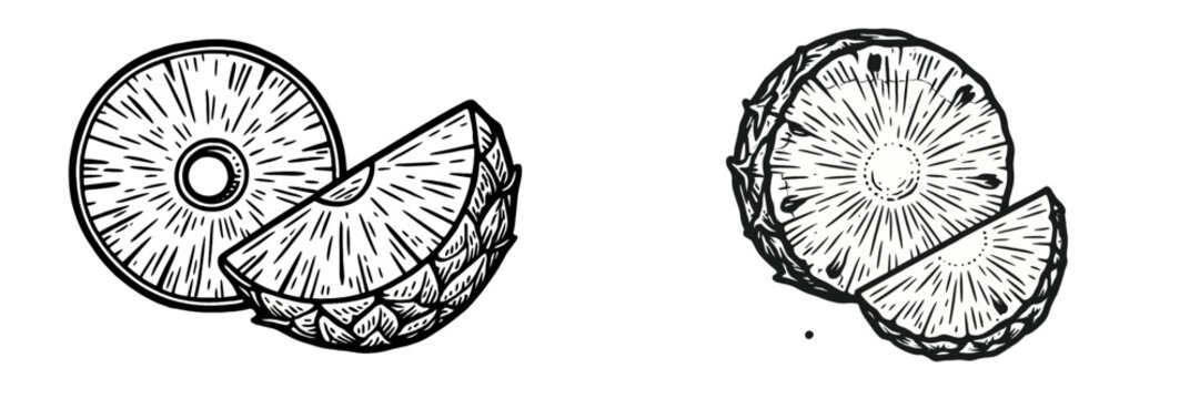 Detailed vector illustration of pineapple slices and wedges