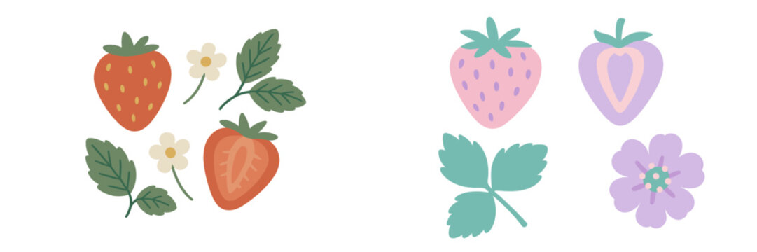 Colorful vector illustration of strawberries and flowers design