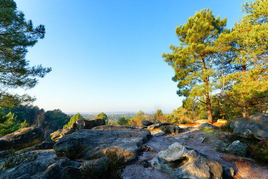 Point of view  of the 25 bumps circuit in the Trois Pignons massif, west of the Fontainebleau forest.