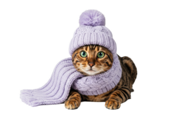 Ultra-photorealistic close-up portrait of a bengal cat with emerald eyes, wearing a lilac cable-knit hat and scarf, lying on a white background with sharp detail and bokeh. Charming pet fashion