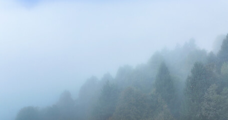 Fototapeta premium AERIAL: Dreary drone point of view of the dark deciduous tree forest enshrouded in fog on a cold day in November. Clouds, fog and darkness gather over the verdant woods of the Slovenian countryside.