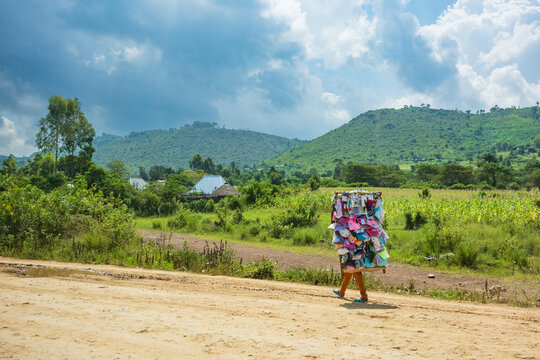 Rural life seen from the dirt road of people working and living