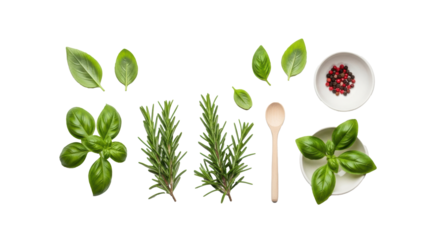 Fresh green basil leaves, rosemary sprigs, red/black peppercorns with a light ceramic bowl and wooden spoon on a transparent background, soft diffused lighting, culinary inspiration concept