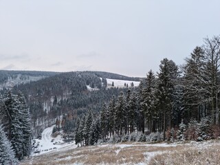Winter landscape of the Sowie Mountains covered with fresh snow. Snowy pine trees, mountain meadow, and calm atmosphere create a natural, raw scenery full of silence and harmony.
