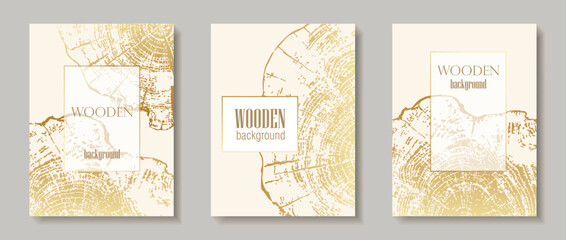 Set of wooden texture templates with gold tree ring patterns. Premium backgrounds with wood grain and elegant circular growth design Vertical banner with tree ring pattern Vector stamp of wood texture