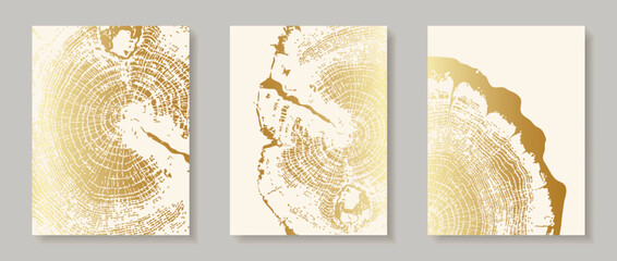 Set of wooden texture templates with gold tree ring patterns. Premium backgrounds with wood grain and elegant circular growth design Vertical banner with tree ring pattern Vector stamp of wood texture
