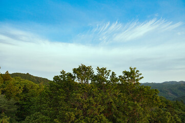 Obraz premium 茨城 やすらぎの里公園からの眺め