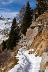 Narrow snowy mountain trail carved into a rocky cliff, winding through alpine forest on a clear winter day. Icy hiking path with footprints leading along steep mountainside, dramatic alpine landscape 