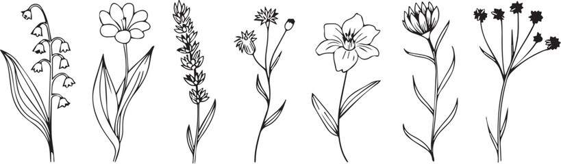 flower line art botanical set six hand drawn floral icons © AIcon Star