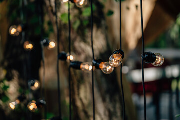 Edison-style string lights draped over a patio or garden, casting warm glowing bulbs and soft bokeh for a cozy, romantic evening ambiance and festive outdoor gathering