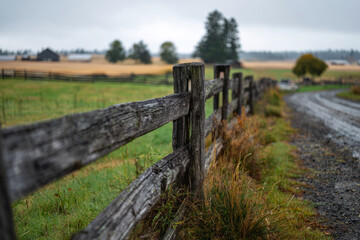 Fototapeta premium A weathered wooden farm gate stands in front of lush green pasture, surrounded by tall grass and distant hills under a cloudy sky, showing a serene rural scene