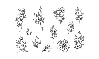 Botanical Line Art Collection Delicate Floral and Leafy Elements.