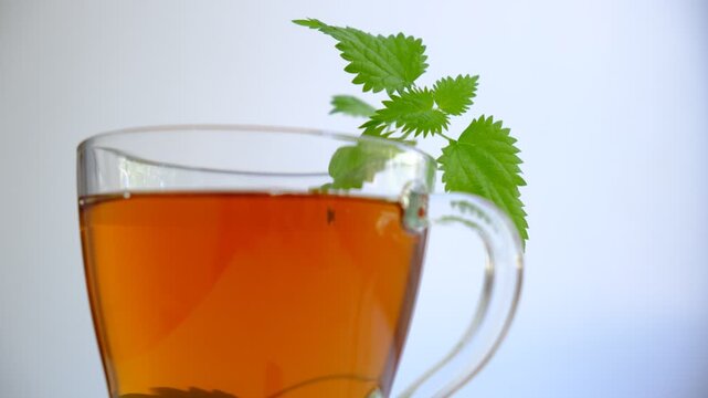 Cup of tea, decoction with fresh stinging nettle. Alternative medicine. Herbal tea. Detox. Homeopathy medicine remedies. Space for text