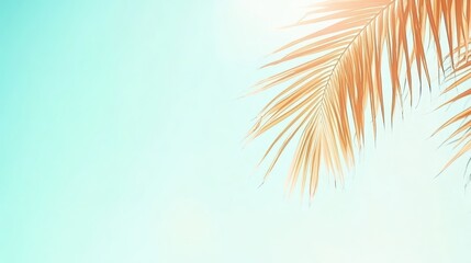 Fototapeta premium Wilting brown palm fronds fanning out against a blazing bright sky