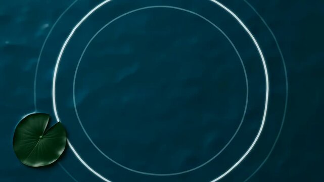 Floating lily pad and glowing circular light patterns on dark abstract background