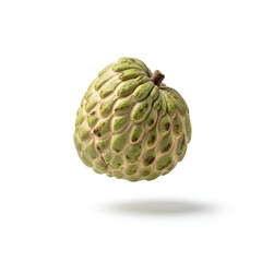 Obraz premium Single whole custard apple fruit floating on white background. Fresh green cherimoya or sugar apple with textured skin. Exotic tropical food ingredient for vegetarian diet or market advertisement