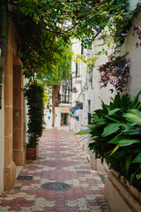 Narrow street in the old town of Marbella, defined by whitewashed walls, blue flower pots, wrought-iron balconies, and lush greenery that creates a charming Andalusian atmosphere