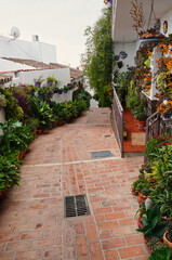 Narrow uphill street in the Andalusian village of Mijas, lined with whitewashed houses, terracotta roofs, wrought iron balconies and vibrant potted plants, showcasing traditional Spanish architecture