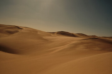 Minimalist desert landscape with smooth golden sand dunes stretching into the distance under a muted sky. Sahara desert near Siwa oasis in Egypt
