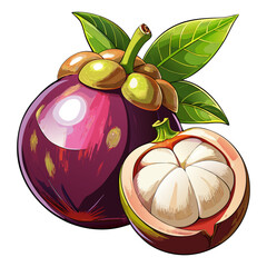 Mangosteen Fruit Whole and Half with Green Leaves Vector Illustration