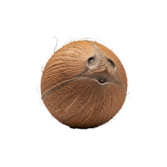 Whole coconut on Transparent Background