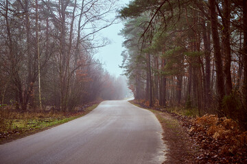 asfaltowa droga,mgła  © Marcin Łazarczyk