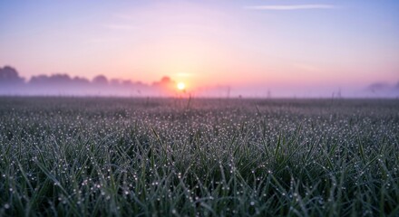 Sunrise over a misty field.