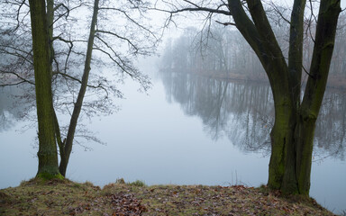 Jesienne drzewa nad stawem we mgle © Mariusz Sowula