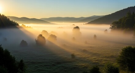 Sunrise over foggy valley landscape.