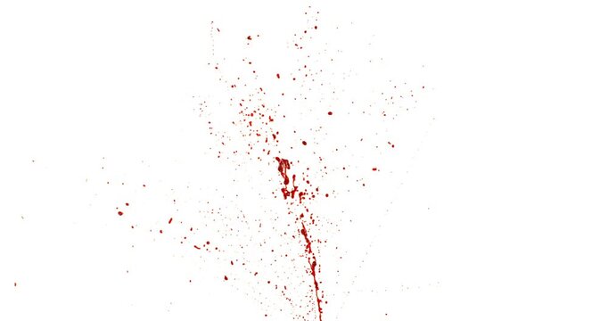 Blood Down Up Splashes in Super Slow Motion. Isolated on White Background. High-Speed Cinematic Shot of Blood Droplets Splashing in the Air.