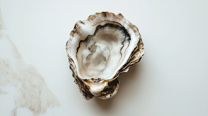 An Empty oyster shell, presenting an abstract texture AI Generative