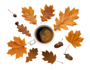 Coffee surrounded by autumn leaves and acorns on black