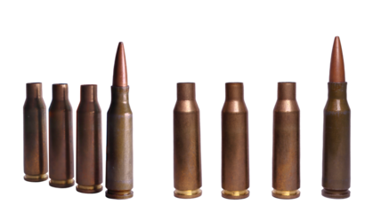 Two angles of a row of shells and a cartridge isolated on a white background.