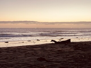 Surfing At Ventura County Line