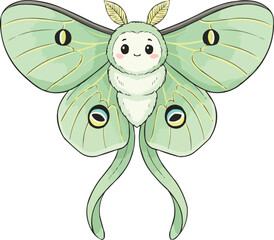 Indian Moon Moth