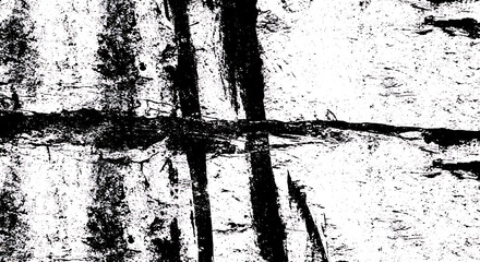 Black ink brush strokes on white textured background abstract image