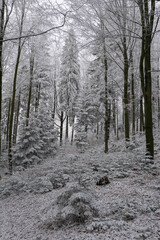 Początek zimy w Beskidzie Małym © Mariusz